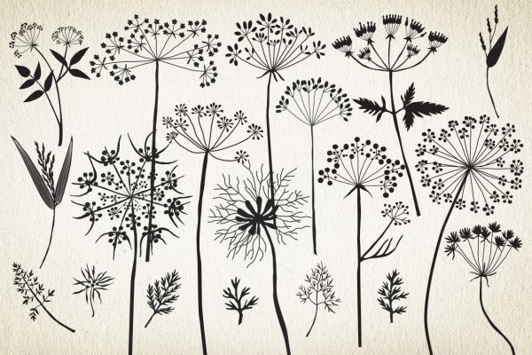 Стилизованные цветы