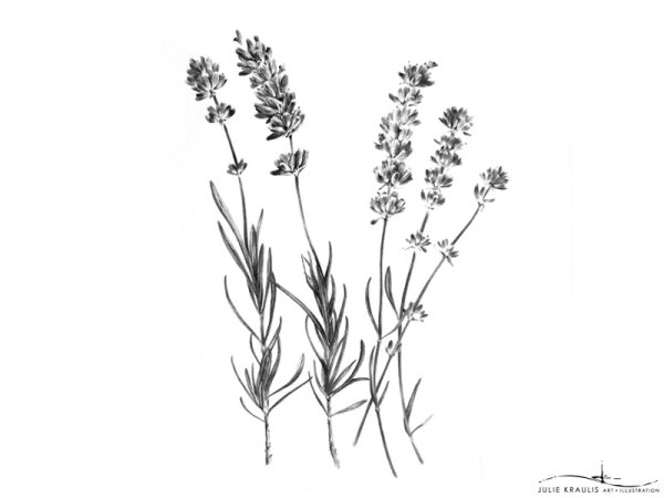 Трафареты для декора цветы полевые