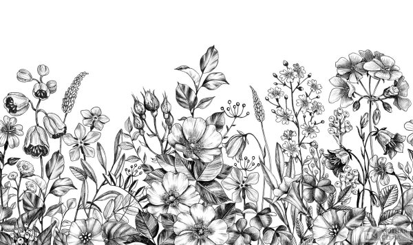 Цветы рисунок