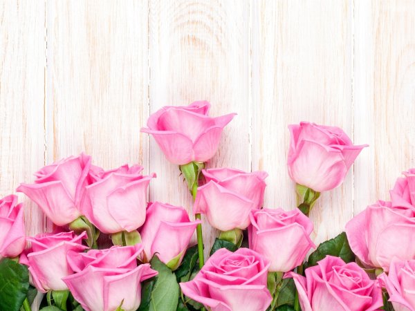 Цветы в подарок