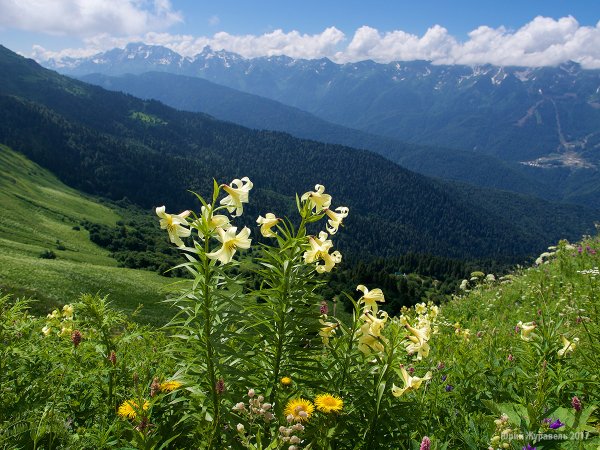 Национальный парк "Приэльбрусье" (Кабардино-Балкария)