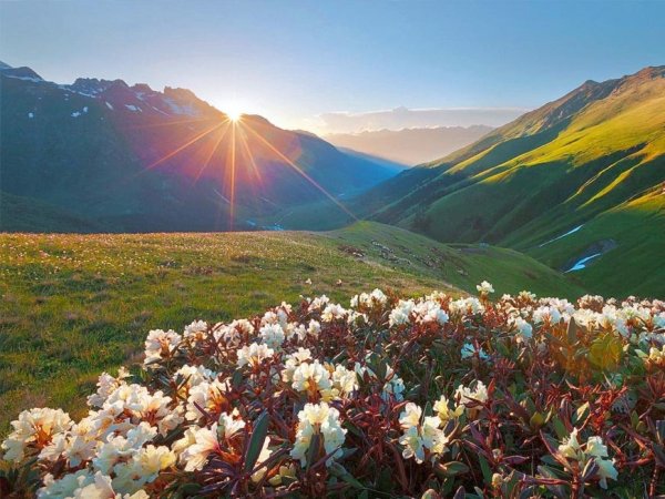 Тебердинский заповедник Альпийские Луга