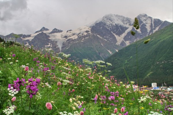 Софийские водопады Архыз рододендрон