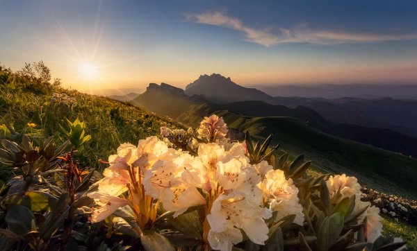 Альпийские Луга Приэльбрусья