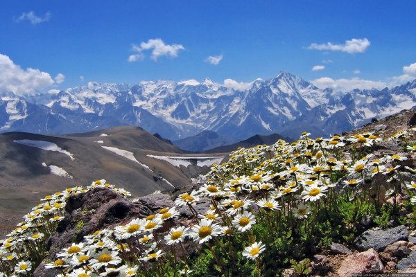 Архыз Альпийские Луга