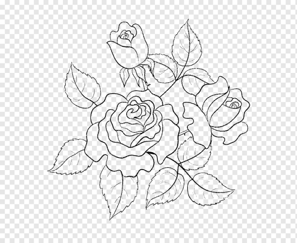 Роза контур