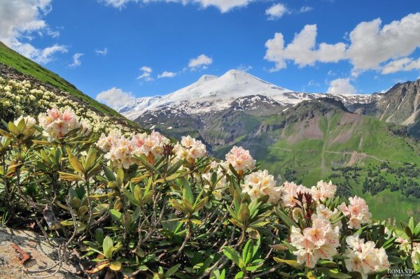 Альпийские Луга Северной Осетии