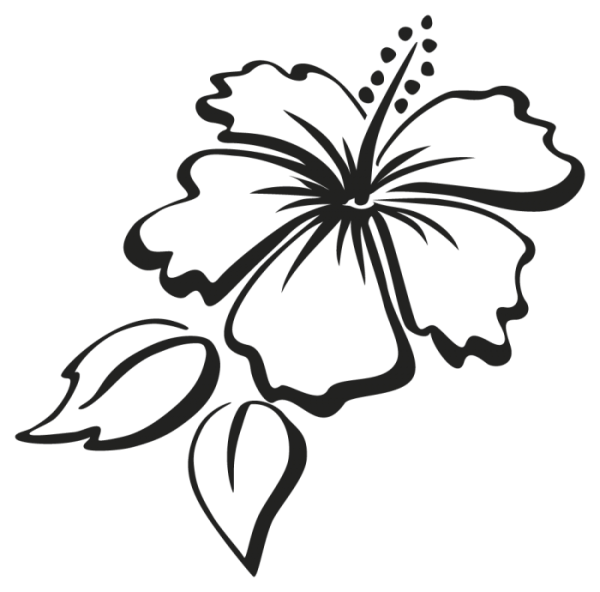 Очертания цветка