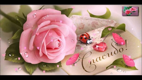 Спасибо очень красивые цветочки