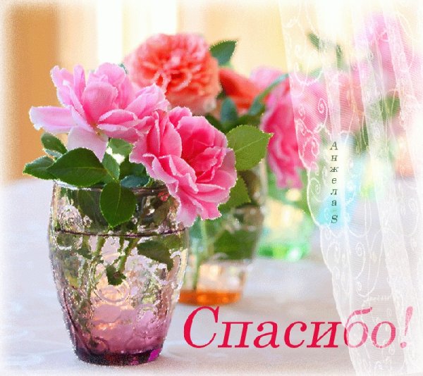 Нежные цветы с благодарностью