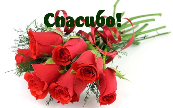 Спасибо картинки с надписями