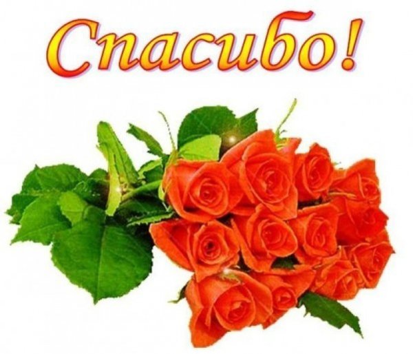 Спасибо цветы