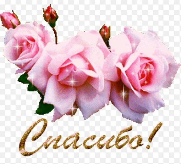 Гифки спасибо