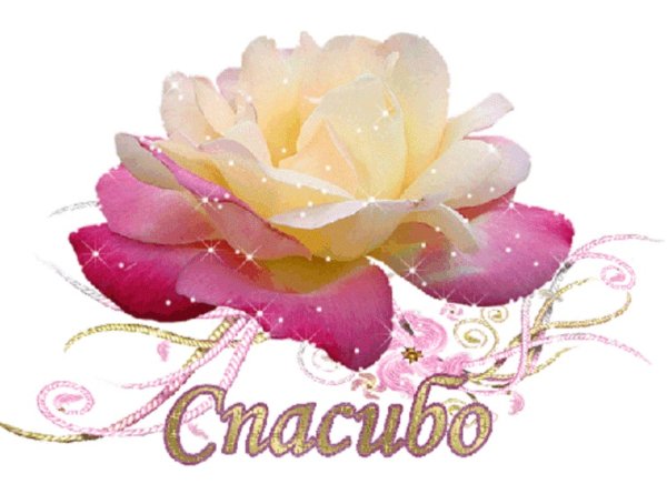 Красивый стикер спасибо