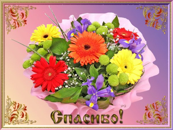 Благодарственные открытки