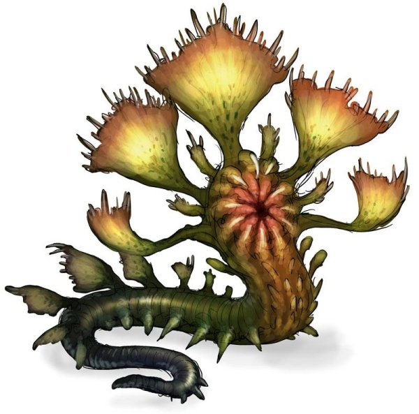 Хищное растение ДНД