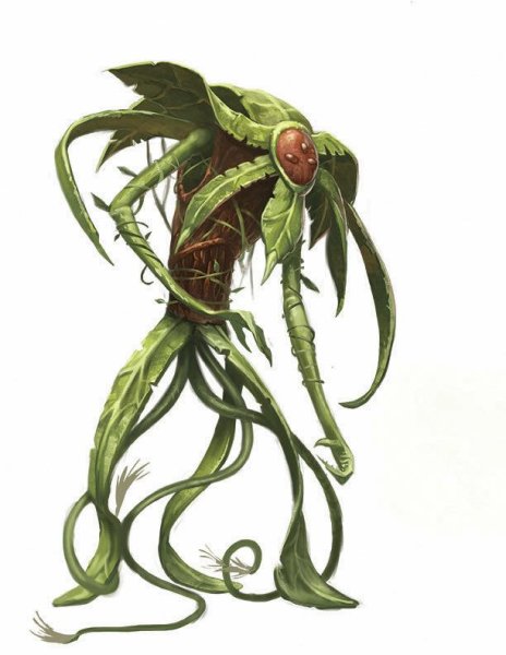 Хищное растение ДНД