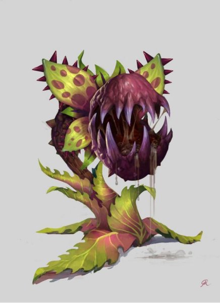 Плотоядное растение арт