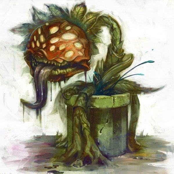Плотоядное растение арт
