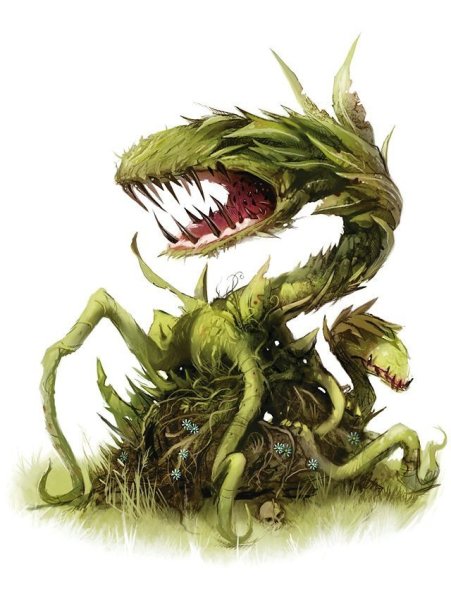 Хищное растение ДНД