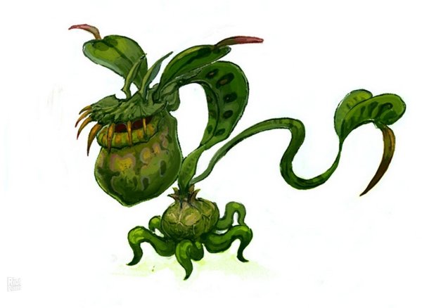 Сказочные растения рисунок