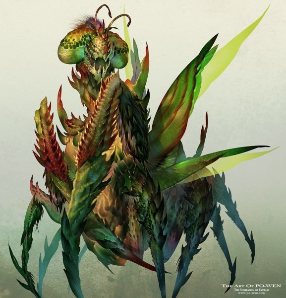 Богомол дракон Мантис