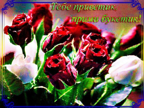 Открытки привет с цветами