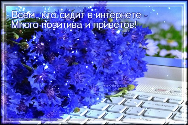 Друзья в интернете пожелания