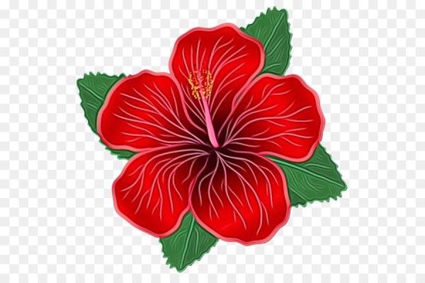 Красный цветок