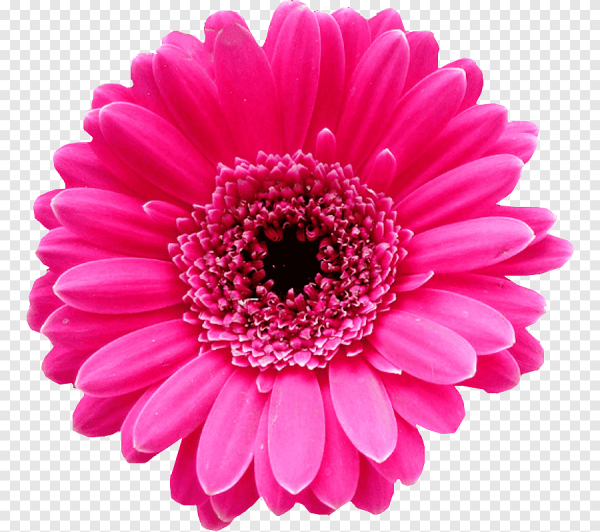 Цветочек розовый