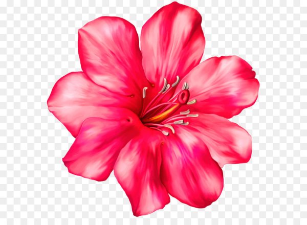 Цветы клипарт