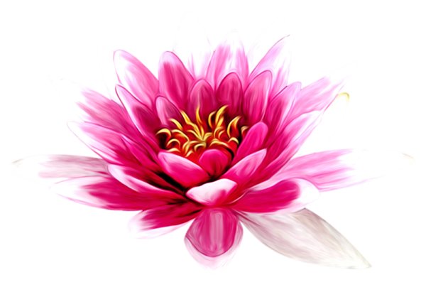 Цветы одиночные