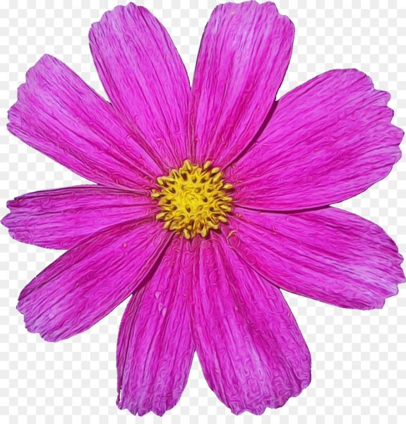 Отдельные цветочки