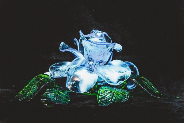 Красивые цветы из стекла