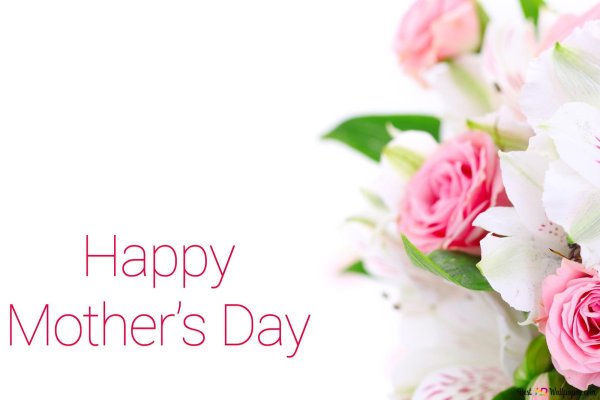 С днем матери цветы