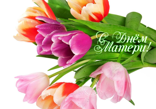 С днем матери цветы