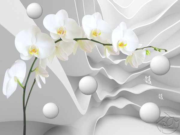 Фотообои с цветами