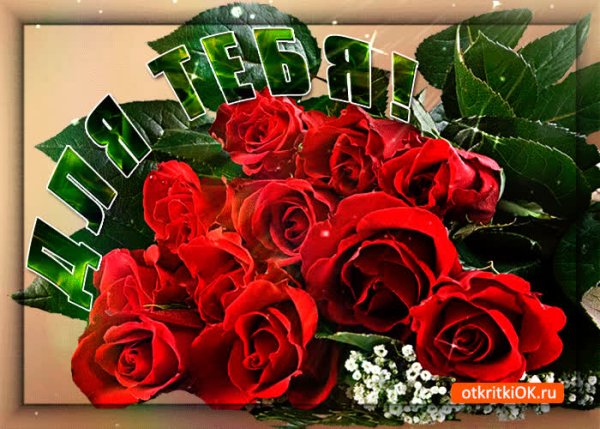 Розы для Алены