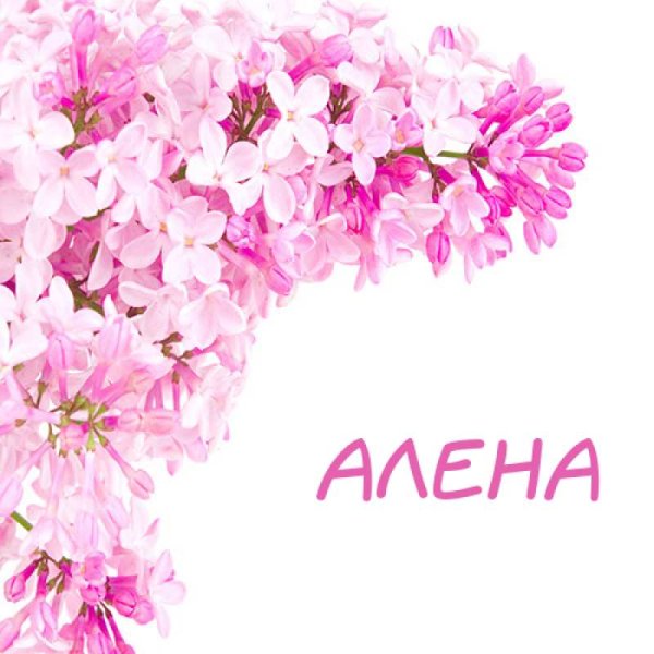 Красивые цветы для Алены