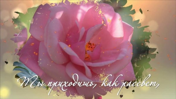 Цветы для Алены