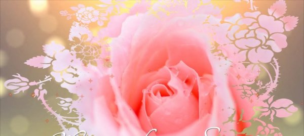 Цветы для самой нежной женщины