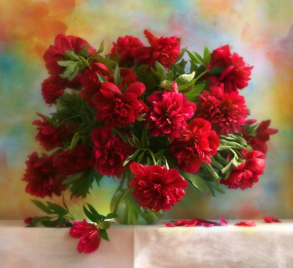 Букет роз для тебя