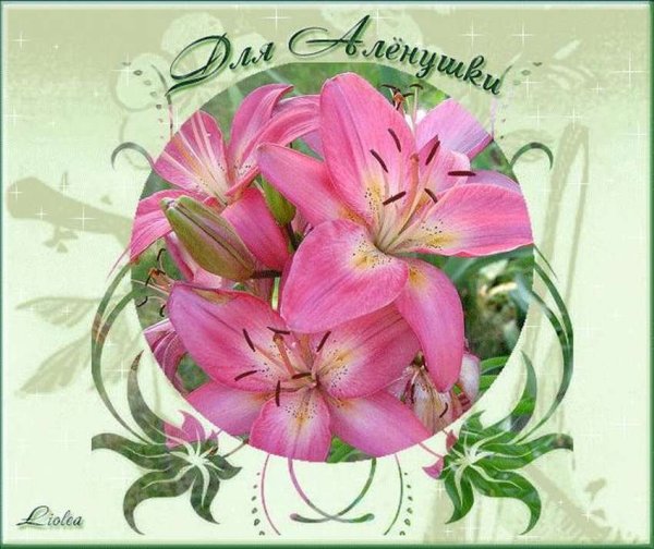 С днем рождения