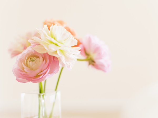 С днём рождения Лиза