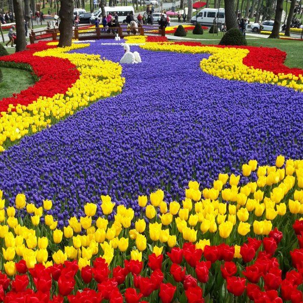 Султанахмет фестиваль тюльпанов