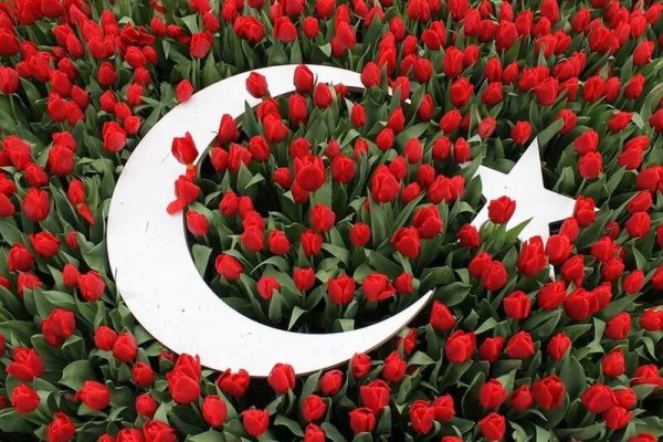 Тюльпан символ Турции