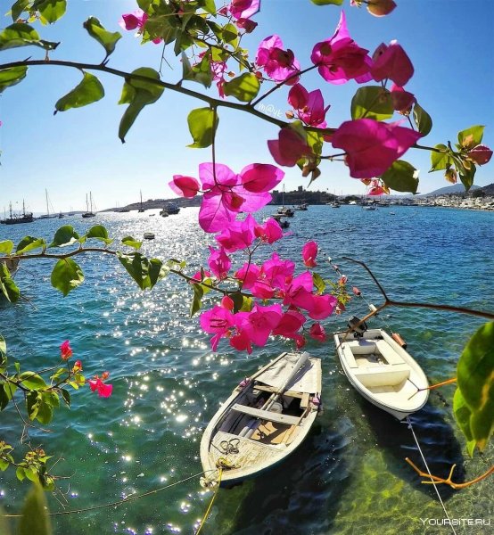 Бодрум природа