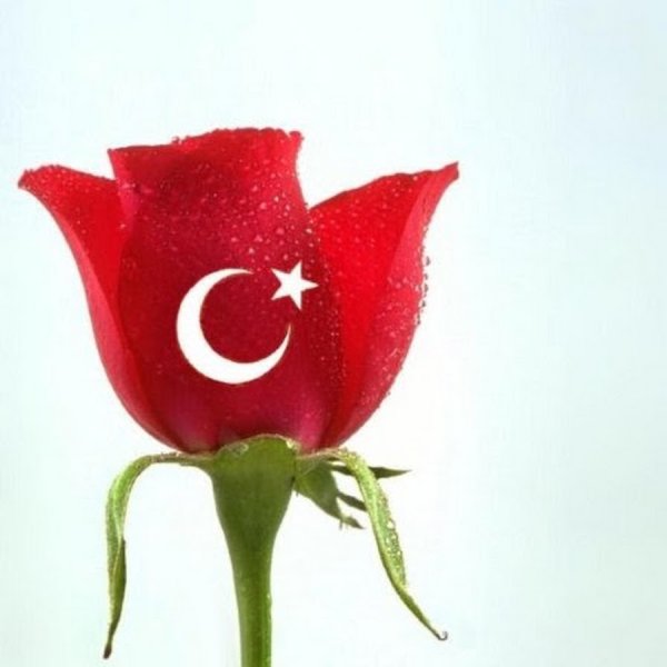 Турецкие открытки