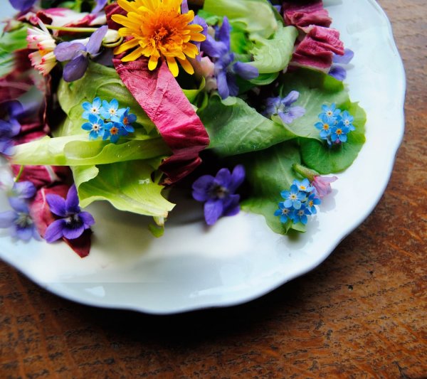 Цветы для украшения блюд