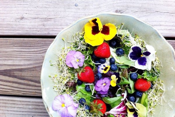 Анютины глазки микрозелень